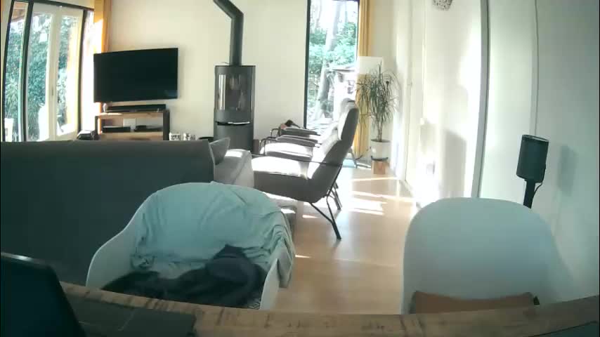 woodwurm Приват Записи 2026-03-06