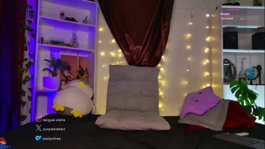 stellart_ Приват Записи 2026-03-06