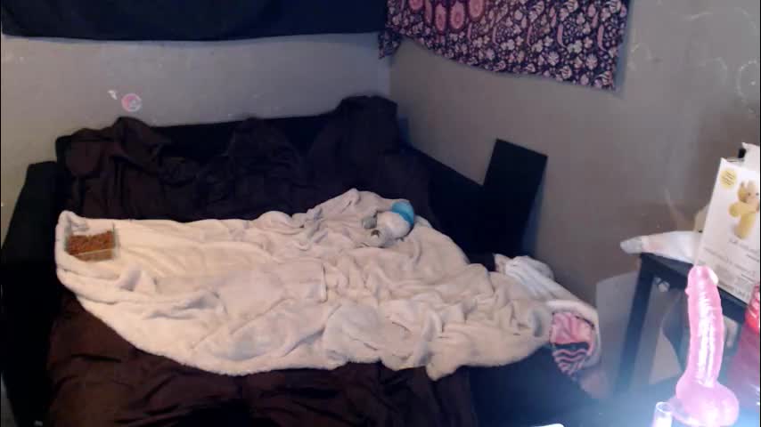 londonray Приват Записи 2026-03-06