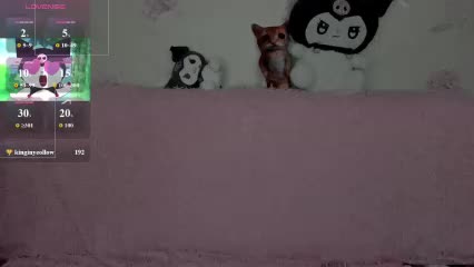 toriayun0 Приват Записи 2026-03-06