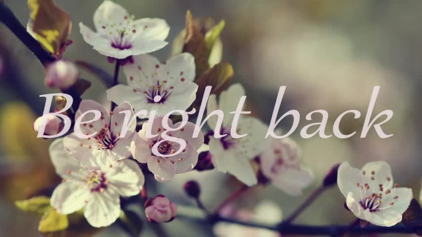 1lindsey1 Приват Записи 2026-03-06