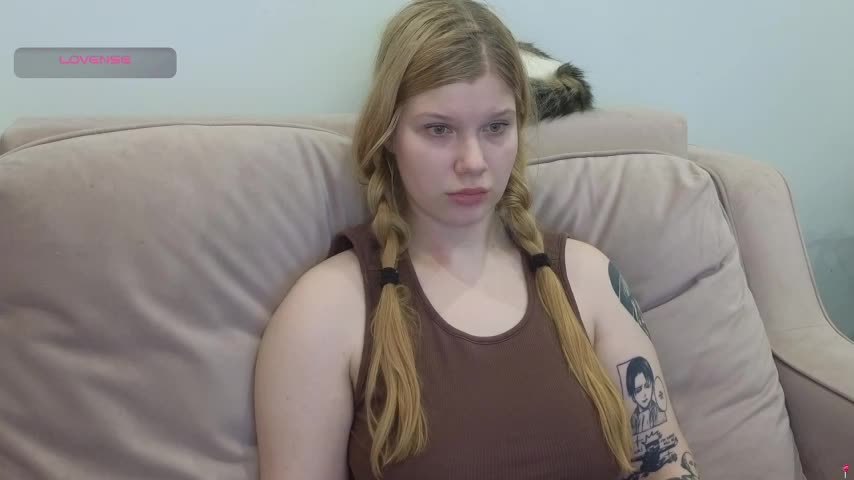 gertanord Приват Записи 2026-03-06