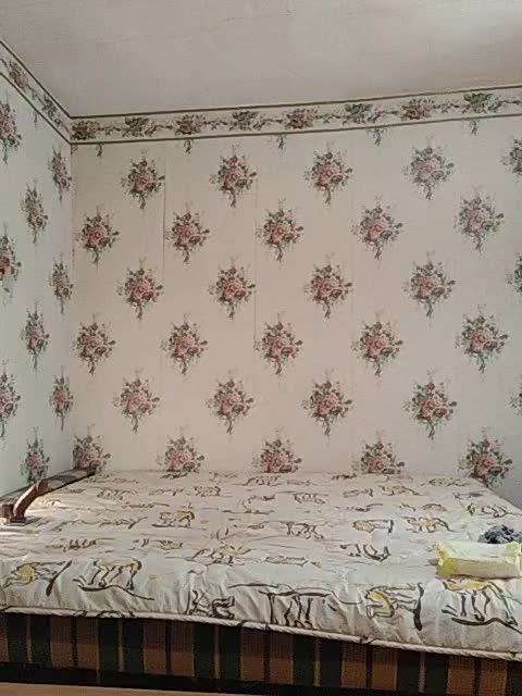 Alisa-33 Приват Записи 2026-03-07