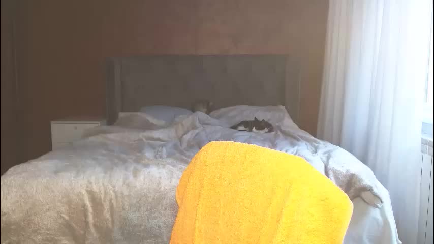 mishakiss34 Приват Записи 2026-03-08