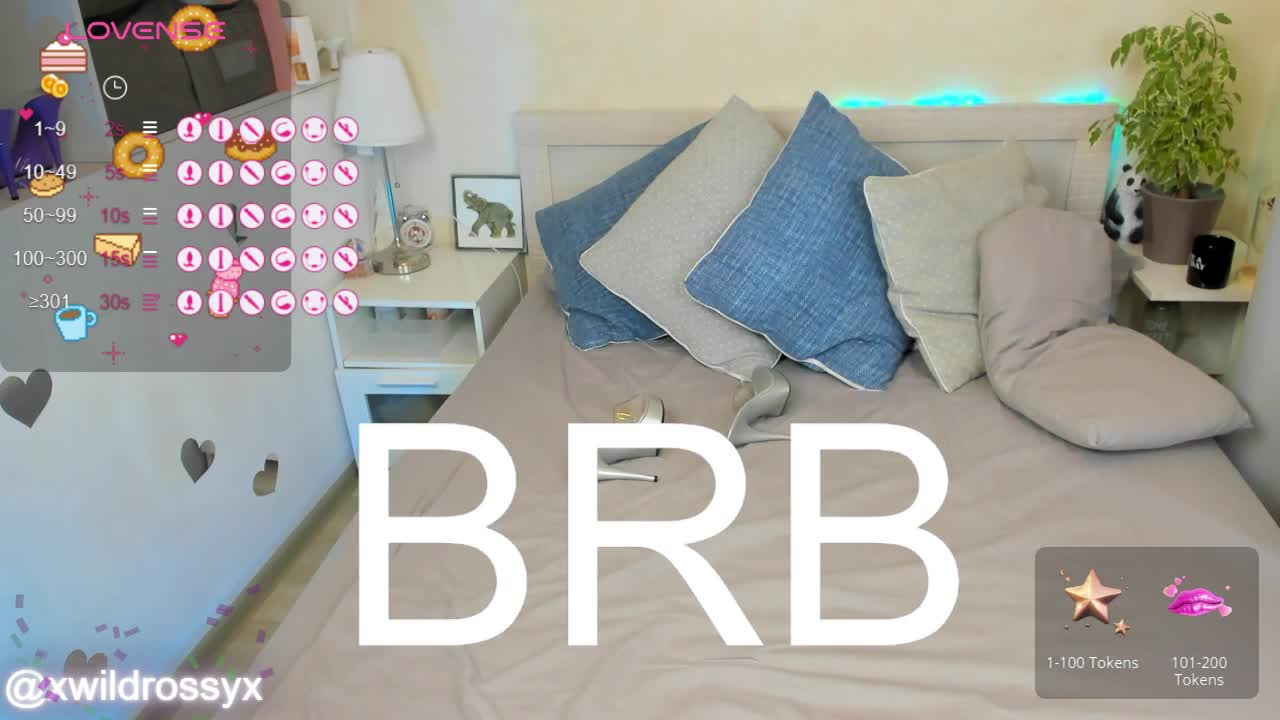 wildrossy Приват Записи 2026-03-08