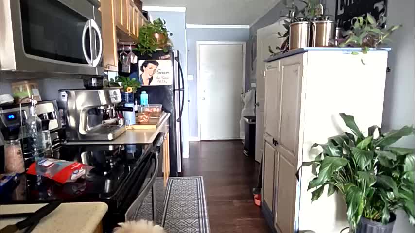 cheekymonkie Приват Записи 2026-03-08