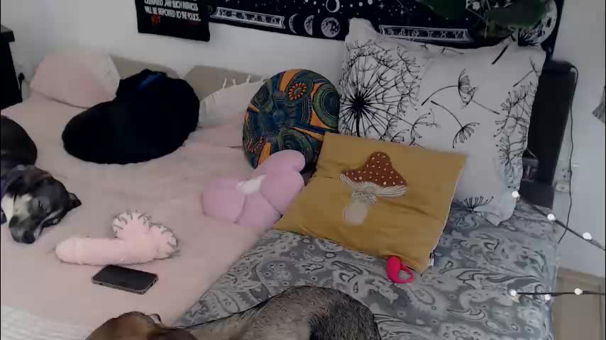 aliens4twenty Приват Записи 2026-03-10