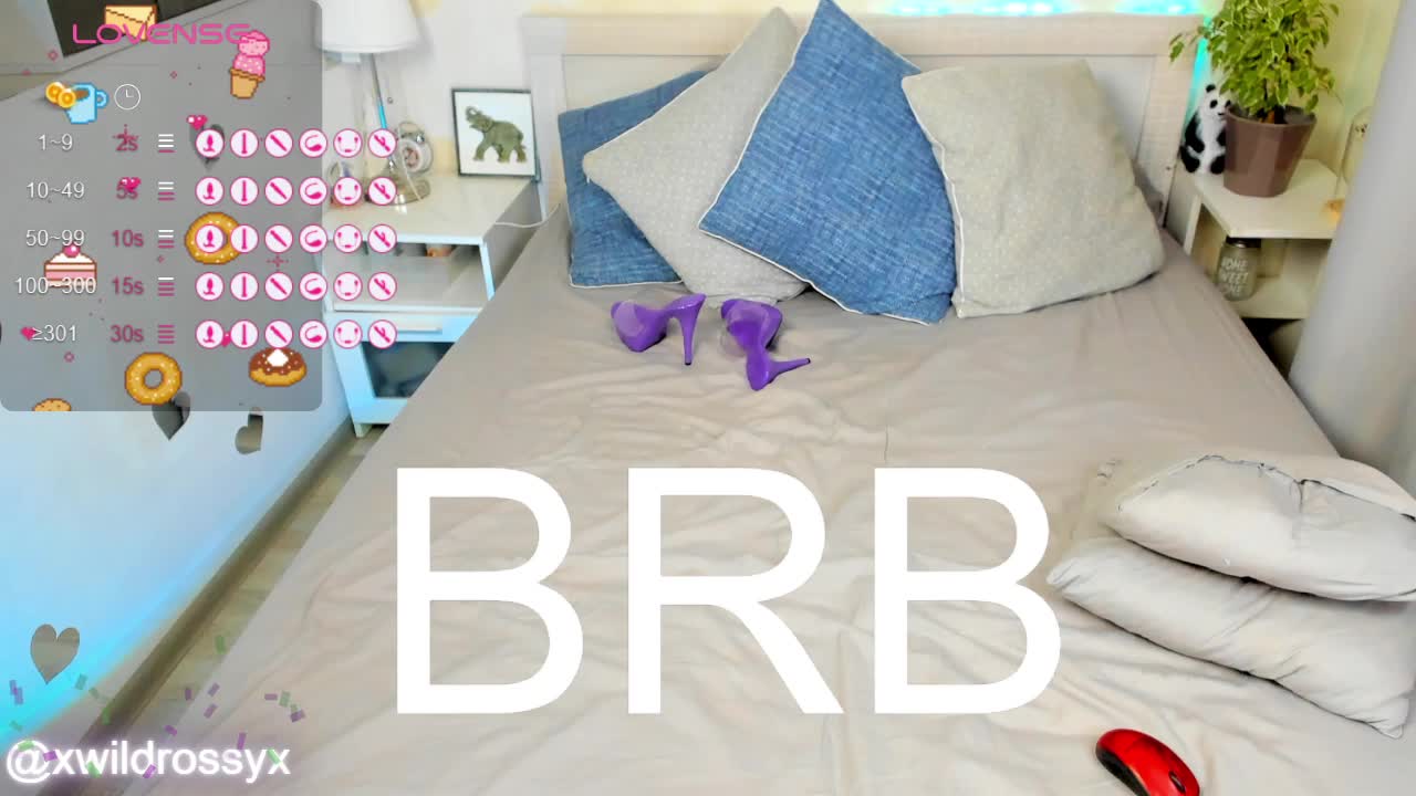 wildrossy Приват Записи 2026-03-10