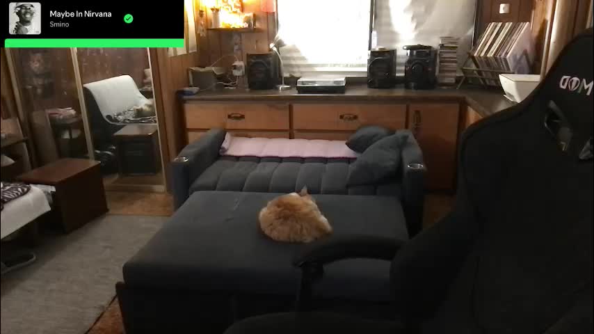 incognitoqueen Приват Записи 2026-03-10