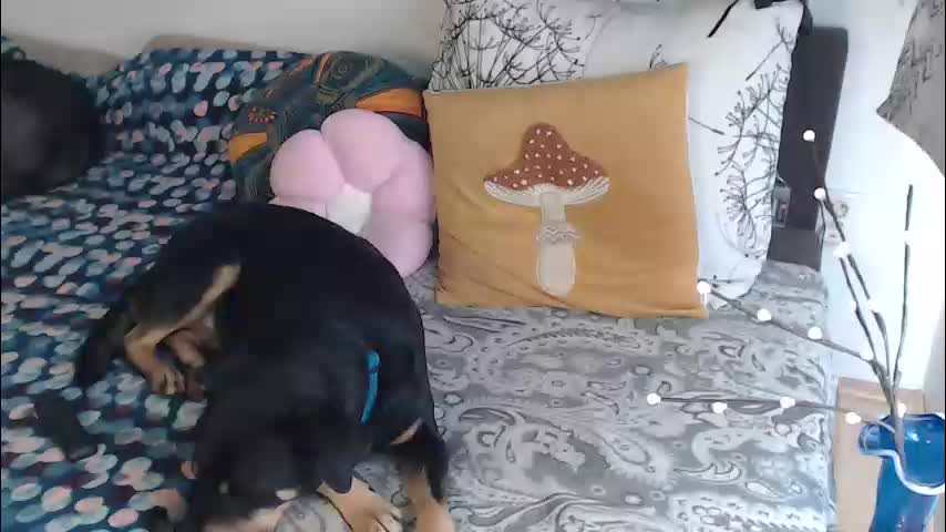 aliens4twenty Приват Записи 2026-03-10