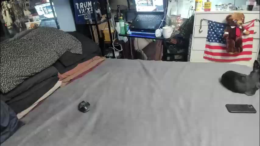 pink_black Приват Записи 2026-03-11