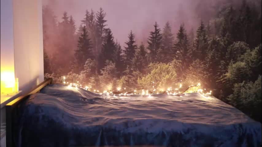 gracegreen Приват Записи 2026-03-11