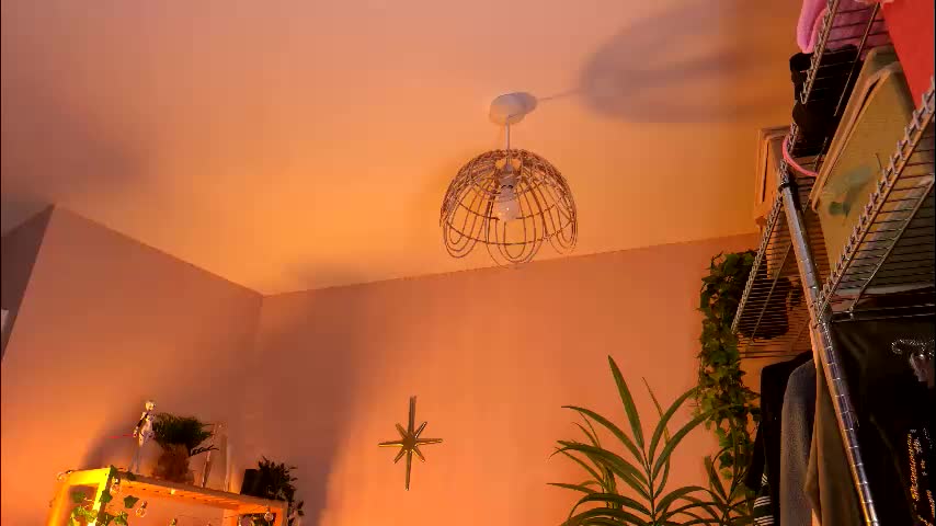 vixenp Приват Записи 2026-03-11