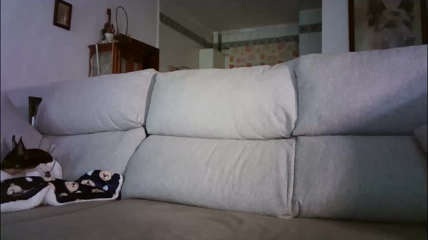 lolahueso Приват Записи 2026-03-12