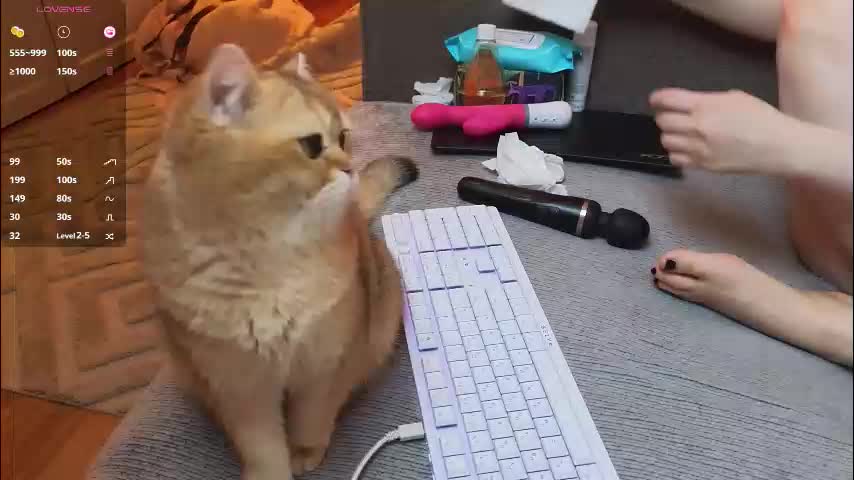 neli_elinek Приват Записи 2026-03-12