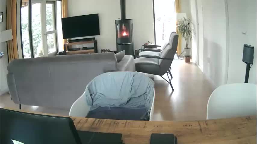 woodwurm Приват Записи 2026-03-13