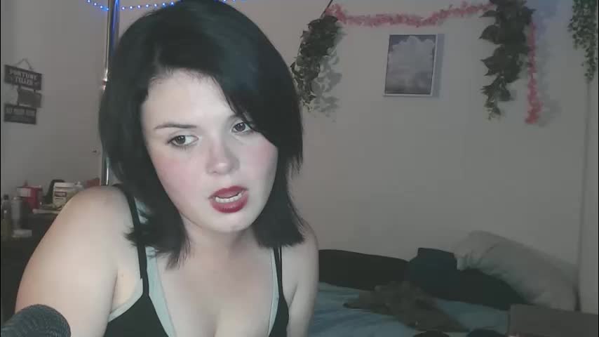 venusastar Приват Записи 2026-03-14