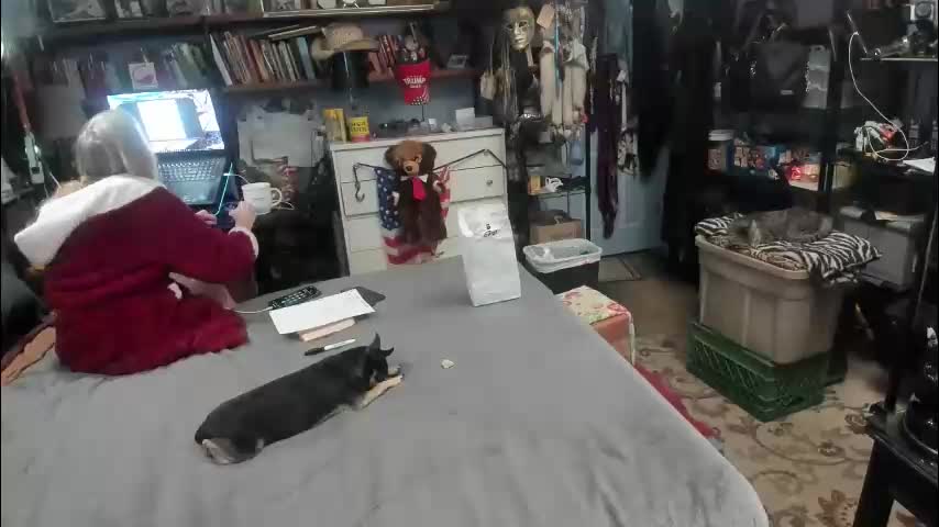 pink_black Приват Записи 2026-03-14