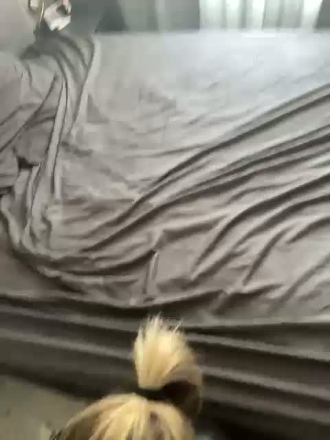 Perverse-family Приват Записи 2026-03-14