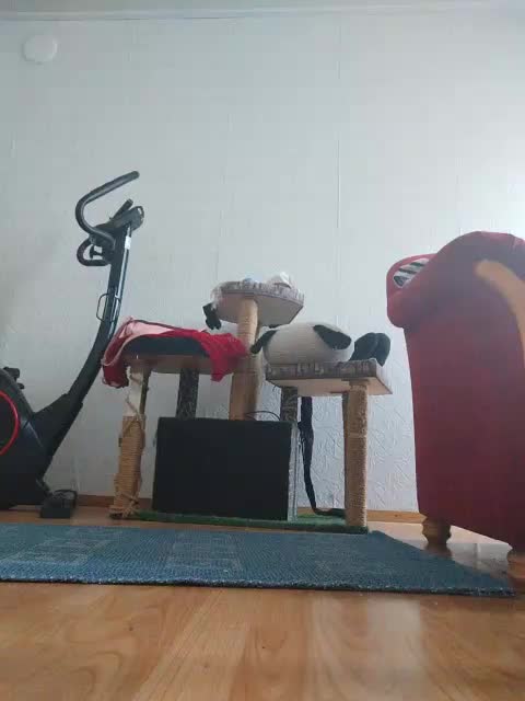 MySky23 Приват Записи 2026-03-15