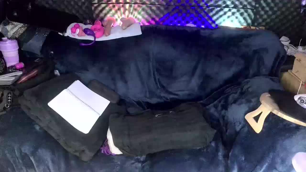 Fantasyca Приват Записи 2026-03-16