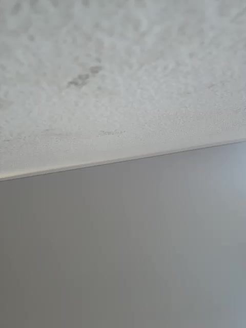 NotBellucci Приват Записи 2026-03-16