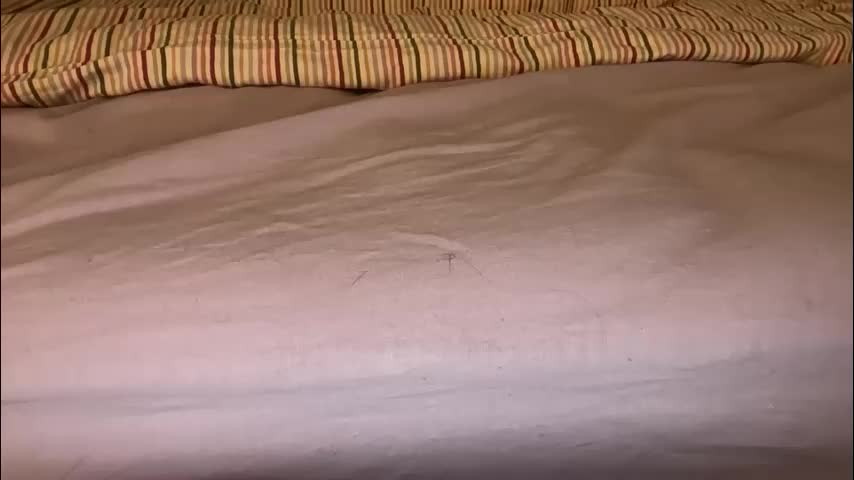 marsandvene1a Приват Записи 2026-03-16