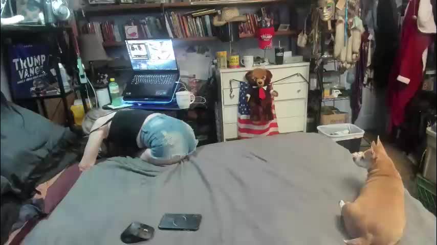 pink_black Приват Записи 2026-03-17