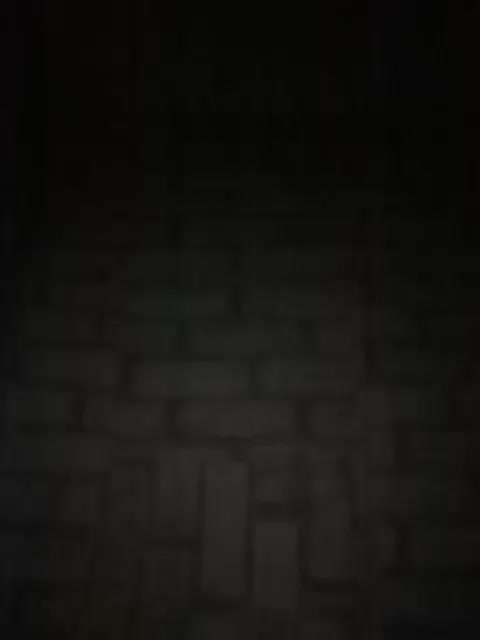 TatKotik Приват Записи 2026-03-17