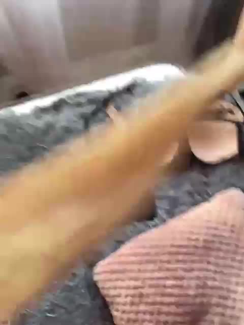 SEXPantera Приват Записи 2026-03-18