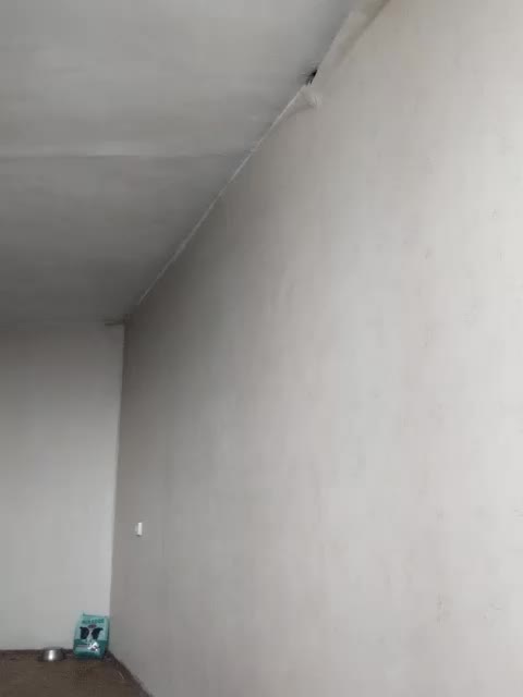 TPAX-B-KucKy Приват Записи 2026-03-18