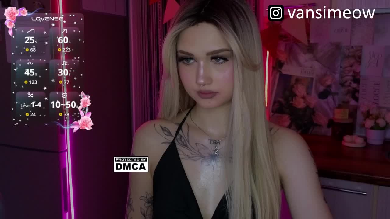 vanslly Приват Записи 2026-03-18