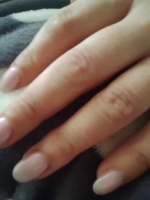 VelvetAngels Приват Записи 2026-03-18