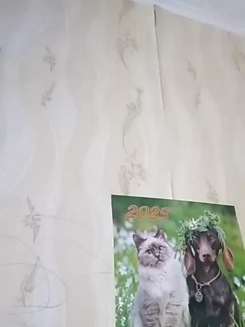 TatKotik Приват Записи 2026-03-18