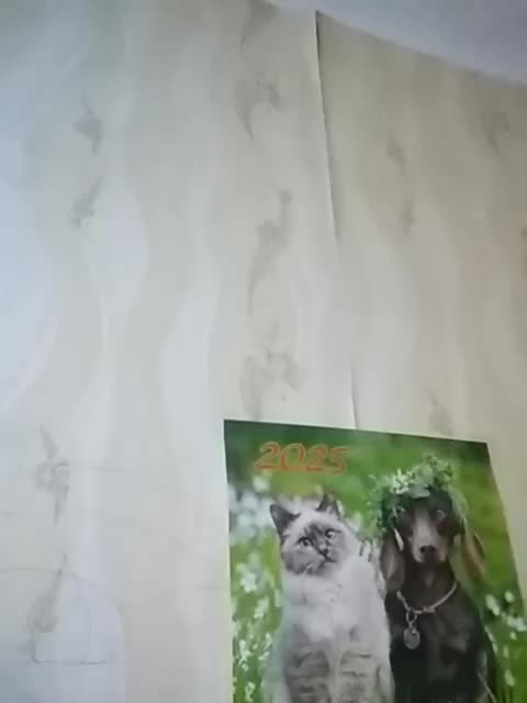 TatKotik Приват Записи 2026-03-18