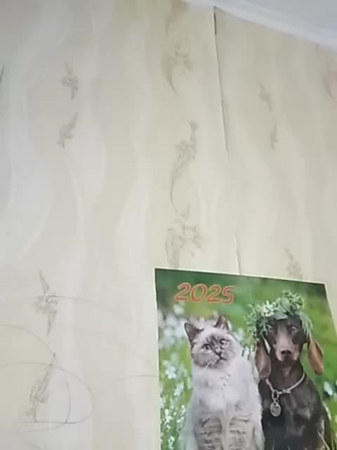 TatKotik Приват Записи 2026-03-18