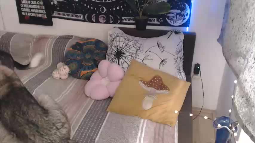 aliens4twenty Приват Записи 2026-03-19