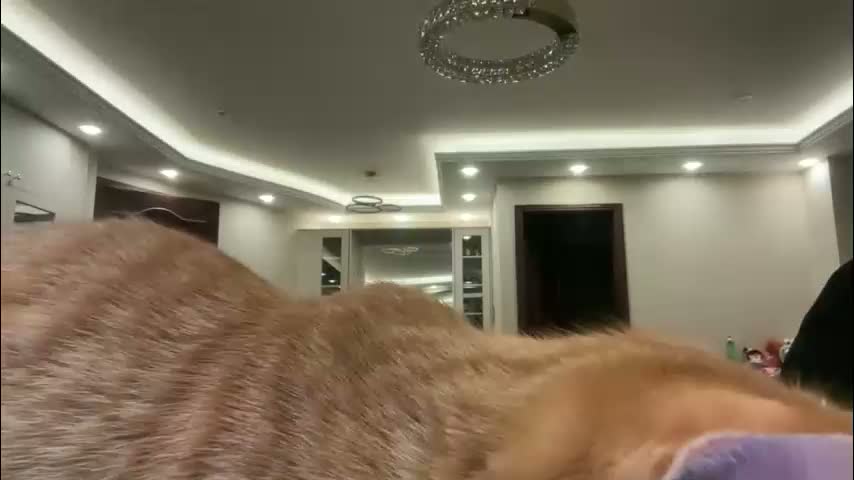 therealcamilabaddie Приват Записи 2026-03-19