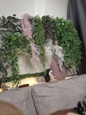 -scyrim- Приват Записи 2026-03-19