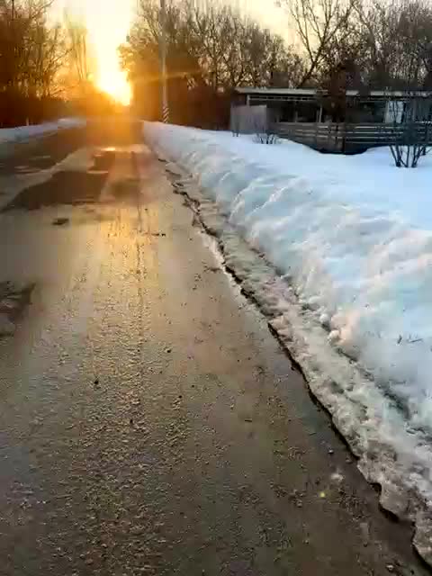 -Darinaa- Приват Записи 2026-03-20