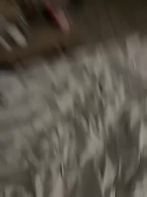 wetttt1 Приват Записи 2026-03-21