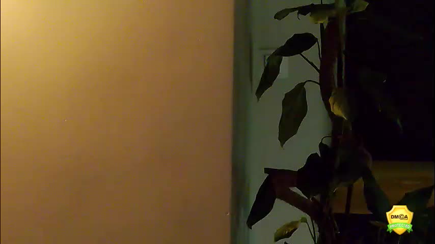 flowerr_powerr Приват Записи 2026-03-21