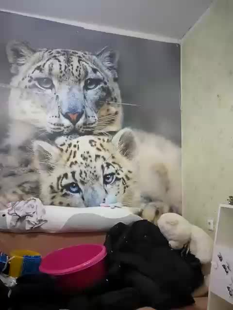 KittyTempreXXX Приват Записи 2026-03-22