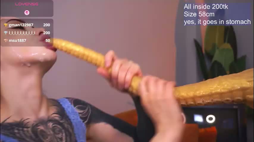 evarabbit Приват Записи 2026-03-22