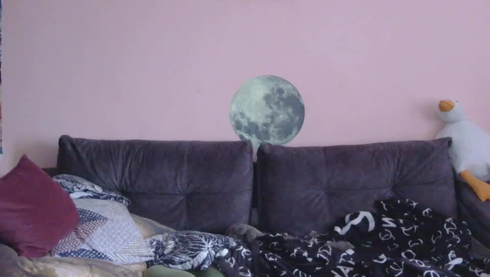 Ornotores_wers Приват Записи 2026-03-22