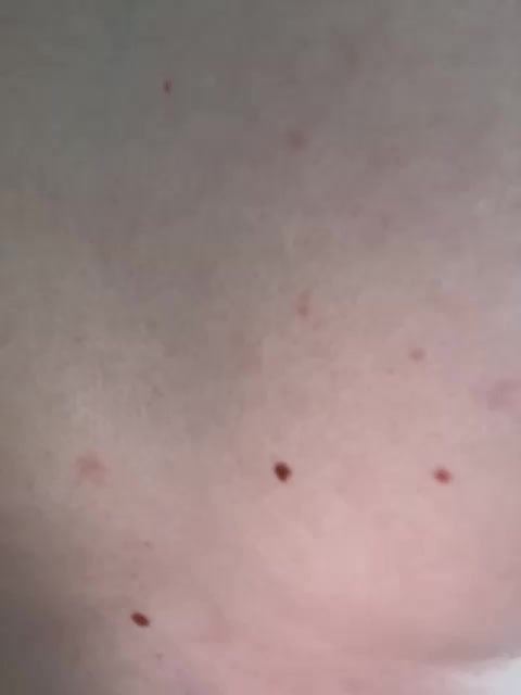 _M_O_L_O_K_O_ Приват Записи 2026-03-23