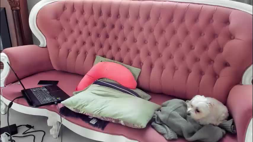 ladygilda Приват Записи 2026-03-23