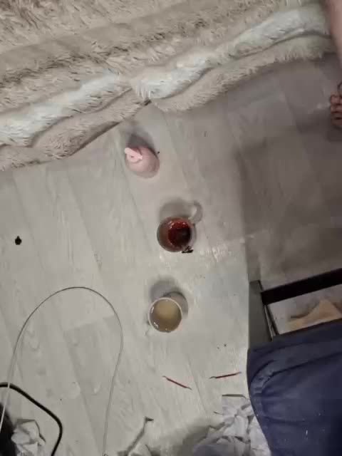 -scyrim- Приват Записи 2026-03-23