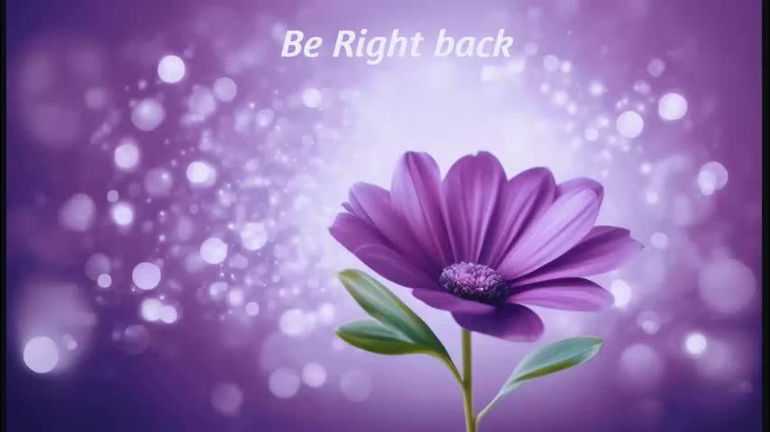 mylegsonheels Приват Записи 2026-03-24