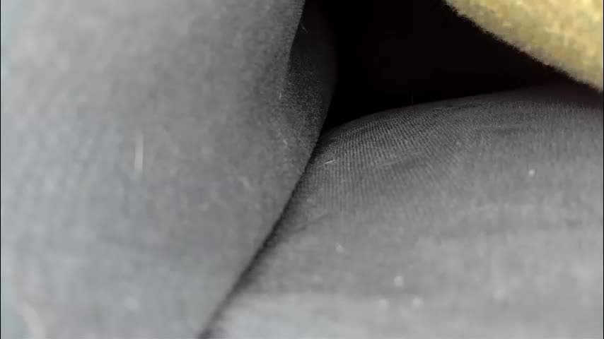 kittyymaze Приват Записи 2026-03-24